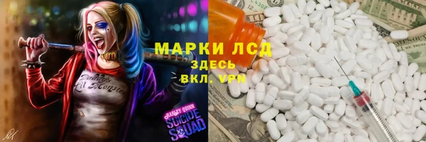 индика Белокуриха