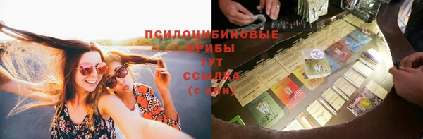 PSILOCYBIN Беломорск