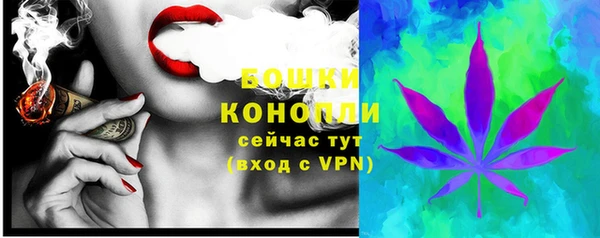 прущие грибы Бугульма