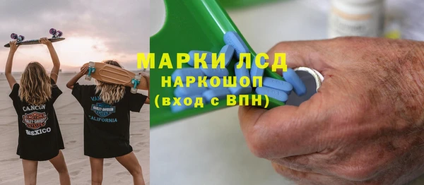 индика Белокуриха