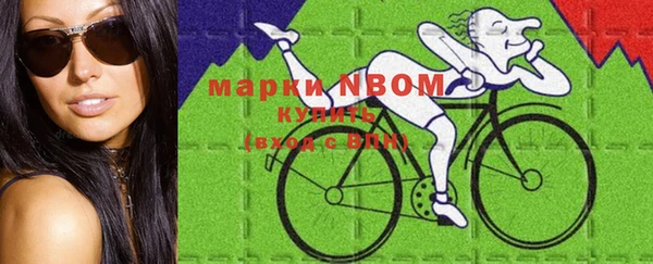 ПСИЛОЦИБИНОВЫЕ ГРИБЫ Бородино
