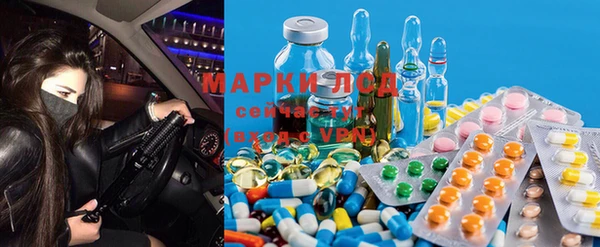 индика Белокуриха