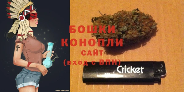 индика Белокуриха