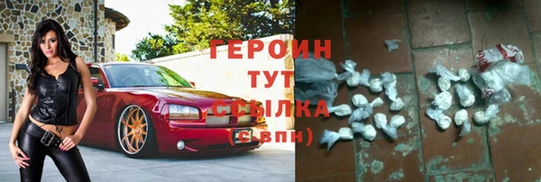 индика Белокуриха