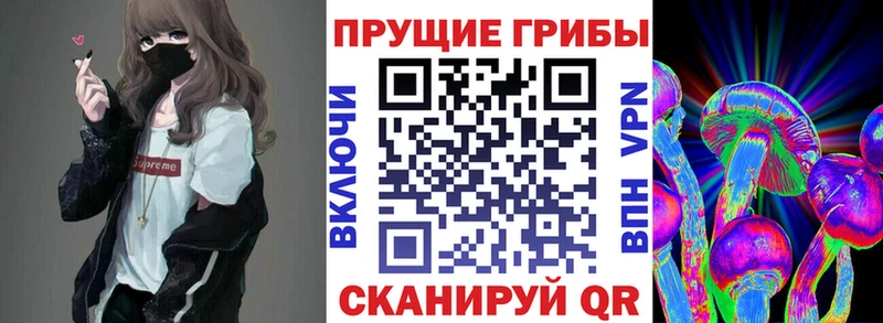 Галлюциногенные грибы Cubensis Ишимбай